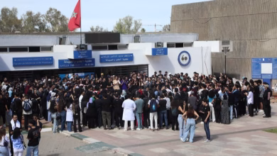 تنسيقية استاذة كليات الطب، تستنكر ما يطال الجسم التربوي من سب وشتم缩略图