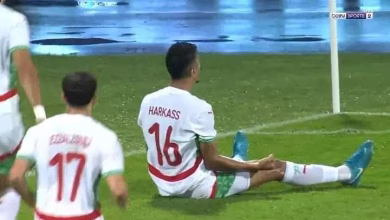 على أرضية ملعب فرانسفيل، الأسود يهزمون الغابون بخمسة أهداف لواحد.缩略图 على أرضية ملعب فرانسفيل، الأسود يهزمون الغابون بخمسة أهداف لواحد.缩略图