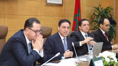 المشاورات الجهوية لإعداد خارطة الطريق للتجارة الخارجية تحط الرحال بجهة طنجة-تطوان-الحسيمة.缩略图 المشاورات الجهوية لإعداد خارطة الطريق للتجارة الخارجية تحط الرحال بجهة طنجة-تطوان-الحسيمة.缩略图