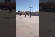 GIL24-TV 1 novembre 2024缩略图