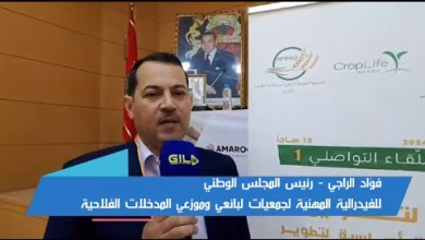 GIL24-TV فؤاد الراجي اهمية القوانين المنظمة لبيع وتوزيع المدخلات الفلاحية بالمغرب لضمان جودة الإنتاج الزراعي缩略图