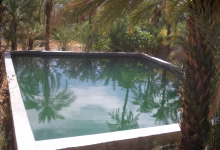 فجيج: حلم في صحراء الزمن缩略图