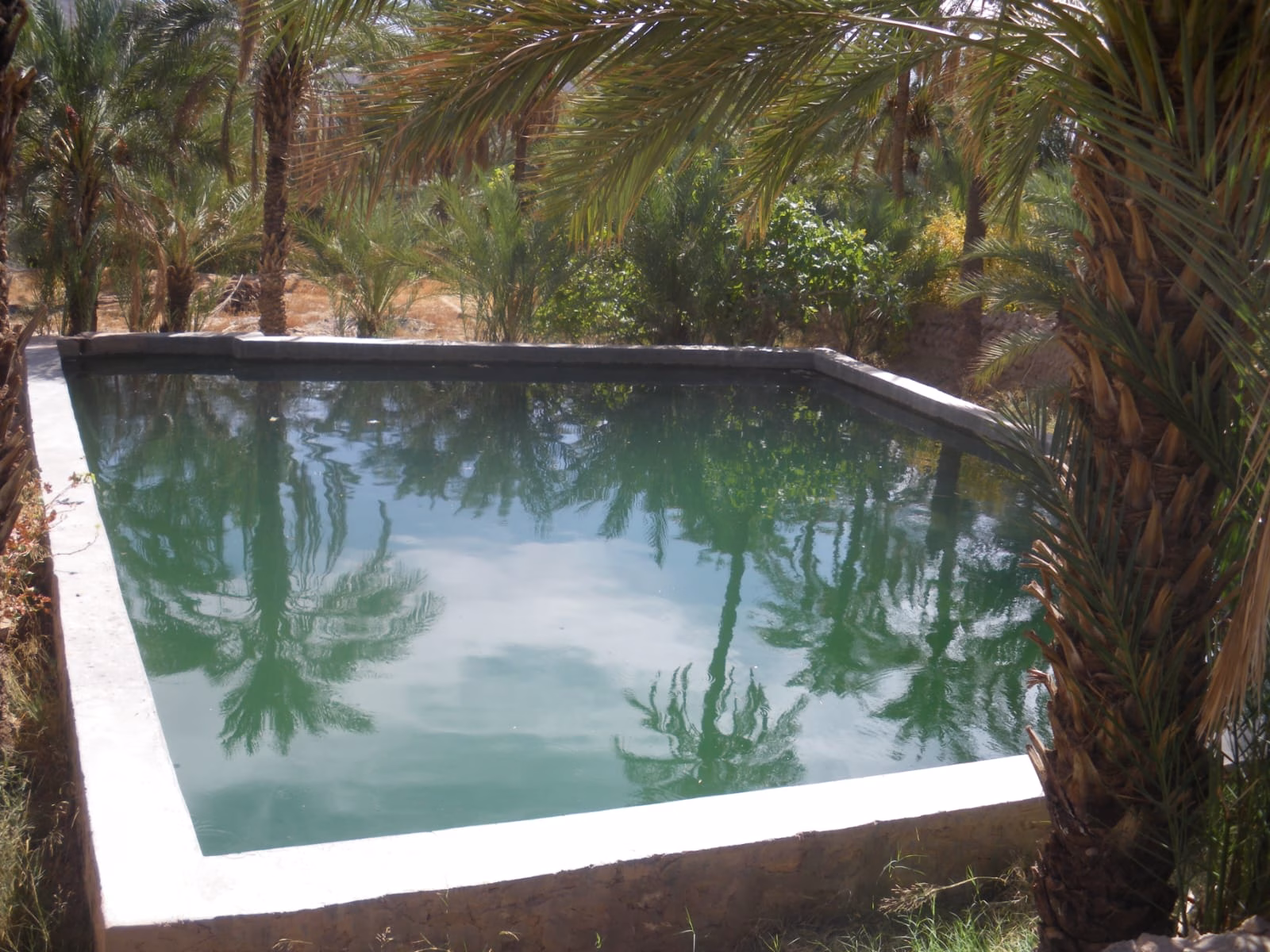 فجيج: حلم في صحراء الزمن缩略图