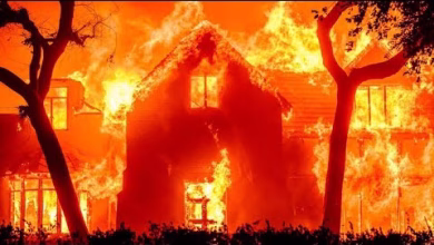 GIL24-TV نيران لوس انجلس … الرياح متواطئة مع النيران بشكل غير مسبوق لحرق المدينة缩略图