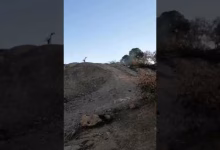 GIL24-TV ماذا يحدث لغابة سيدي معافة … هل هو تخريب عن عمد ام لهو التخريب缩略图