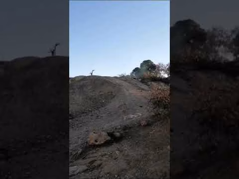 GIL24-TV ماذا يحدث لغابة سيدي معافة … هل هو تخريب عن عمد ام لهو التخريب缩略图