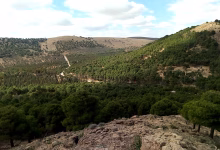 La forêt de sidi Maafa… entre hier et aujourd’hui缩略图