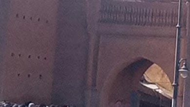 الملقب “بطوريرو” يعتلي سور باب سيدي عبد الوهاب ويهدد بالانتحار : نموذج فوضوي على القضاء أن يأذبه.缩略图