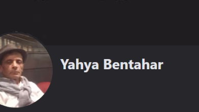 المغربيات والمغاربة ليسوا أغبياء…缩略图