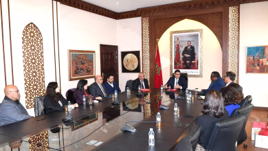 تعيين أعضاء لجنة دعم الإنتاج السينمائي缩略图