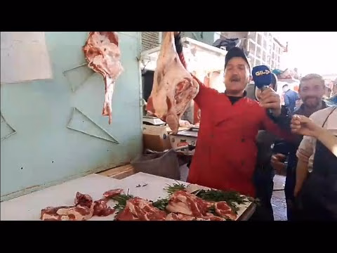 GIL24-TV الخروف 7 الاف وسمئة بوجدة缩略图