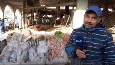 GIL24-TV اسعار السمك لا زالت مرتفعة بالنسبة للمواطن رغم انخفاظها الطفيف مؤخرا缩略图