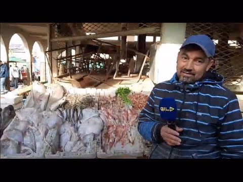 GIL24-TV اسعار السمك لا زالت مرتفعة بالنسبة للمواطن رغم انخفاظها الطفيف مؤخرا缩略图