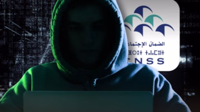 تشخيص اختراق الصندوق الوطني للضمان الاجتماعي : ثغرات تقنية وسياسية + امثلة واقعية缩略图