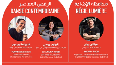 شراكة فنية مغربية-فرنسية بين مسرح رياض السلطان وغرانيت ببلفور: إبداع بلا حدود缩略图