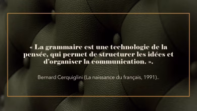 النحو، أداة للتفكير والتعبير: تأملات مستوحاة من برنار سيركيغليني缩略图