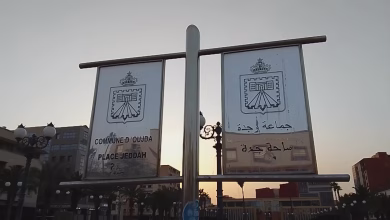 GIL24-TV واقع مدينة وجدة : نافورات عاطلة في شارع رئيسي تشوه جمالية المدينة缩略图