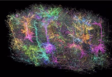 الذكاء الاصطناعي يكتشف 44 نظاما كوكبيا مثيلا للأرض في درب التبانة، ما القصة؟缩略图