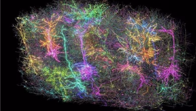 الذكاء الاصطناعي يكتشف 44 نظاما كوكبيا مثيلا للأرض في درب التبانة، ما القصة؟缩略图