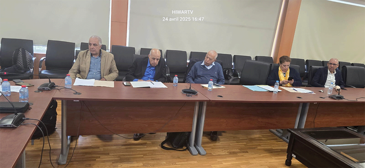 المشاركة السياسية لمغاربة العالم: بين الطموح الدستوري والتحديات المؤسساتية插图