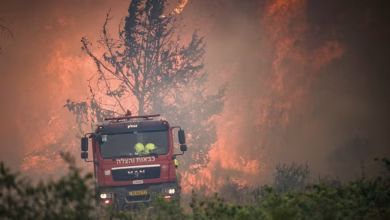 حرائق جبال القدس: أزمة بيئية تخرج عن السيطرة وإسرائيل تستنجد بالمساعدة الدولية缩略图 حرائق جبال القدس: أزمة بيئية تخرج عن السيطرة وإسرائيل تستنجد بالمساعدة الدولية缩略图