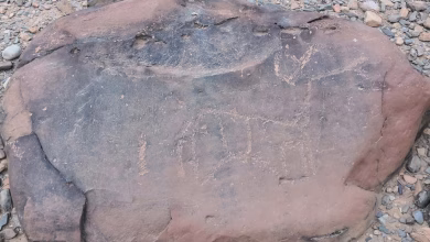 كلميم: التراث الأثري بين مطرقة التخريب وسندان الصمت缩略图 كلميم: التراث الأثري بين مطرقة التخريب وسندان الصمت缩略图