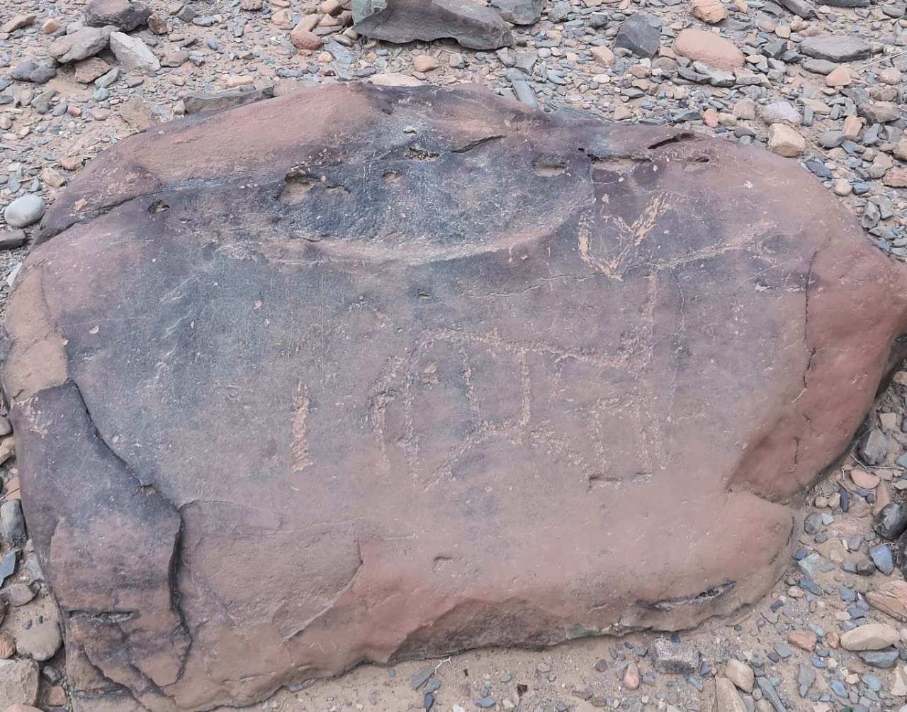 كلميم: التراث الأثري بين مطرقة التخريب وسندان الصمت缩略图