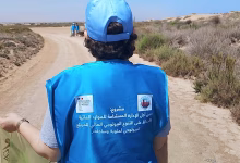 أسبوع بيئي حافل في الجهة الشرقية: جهود مشتركة للحفاظ على التنوع البيولوجي وتدبير الموارد المائية缩略图 أسبوع بيئي حافل في الجهة الشرقية: جهود مشتركة للحفاظ على التنوع البيولوجي وتدبير الموارد المائية缩略图