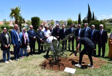 جامعة وجدة تحتفي باليوم العالمي لشجرة الأركان بمبادرات بيئية وتكريم أكاديمي缩略图