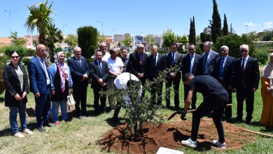 جامعة وجدة تحتفي باليوم العالمي لشجرة الأركان بمبادرات بيئية وتكريم أكاديمي缩略图