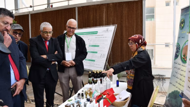 أهمية زيت الأركان: كنز طبيعي بفوائد بيئية واقتصادية وصحية缩略图