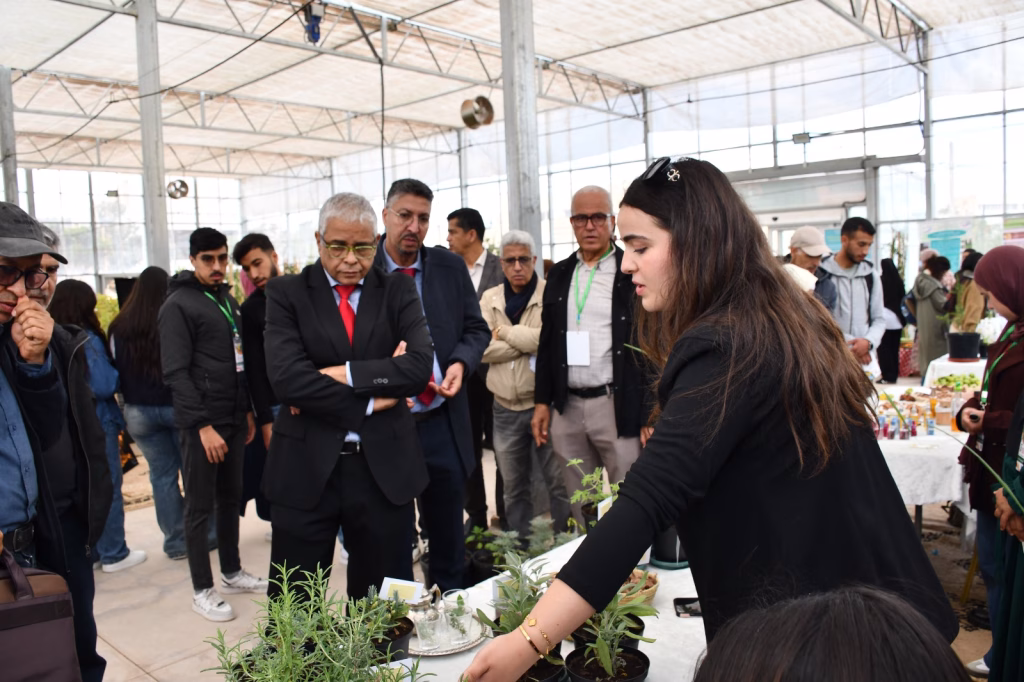 أهمية زيت الأركان: كنز طبيعي بفوائد بيئية واقتصادية وصحية插图