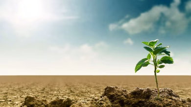 ندوة دولية بجامعة محمد الأول بوجدة تناقش التغيرات المناخية وسبل التكيف في المغرب缩略图