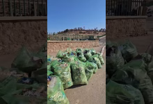 GIL24-TV ناشط بيئي يرجو ساكنة وجدة ان تحافظ على نظافة غابة سيدي معافة缩略图