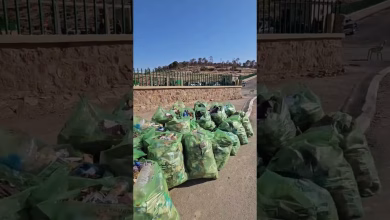 GIL24-TV ناشط بيئي يرجو ساكنة وجدة ان تحافظ على نظافة غابة سيدي معافة缩略图