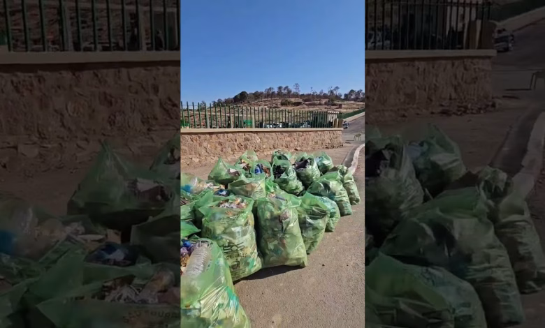 GIL24-TV ناشط بيئي يرجو ساكنة وجدة ان تحافظ على نظافة غابة سيدي معافة缩略图