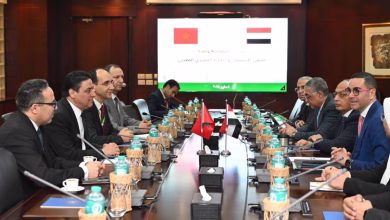 المغرب ومصر.. شراكة اقتصادية واعدة تبحث عن آفاق جديدة缩略图 المغرب ومصر.. شراكة اقتصادية واعدة تبحث عن آفاق جديدة缩略图