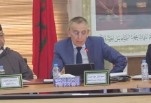 بعد 20 سنة لا تزال جهة الشرق أمام تحديات إدارة المبادرة الوطنية للتنمية البشرية缩略图