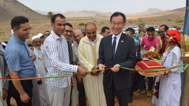 تدشين مشروع فلاحي صديق للبيئة بدعم ياباني في تنغير缩略图