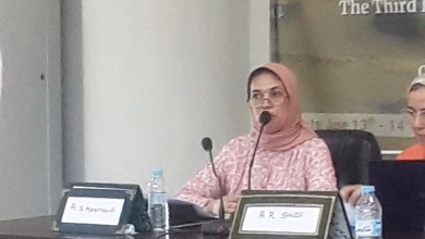 صورة الرومي في “سالم إلى زليجة”: تأملات من قلب المناجم缩略图 صورة الرومي في “سالم إلى زليجة”: تأملات من قلب المناجم缩略图