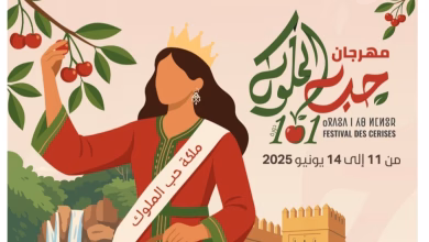 مهرجان حب الملوك بصفرو: الدورة 101 تحتفي بتراث الإنسانية وسحر المدينة العريقة缩略图 مهرجان حب الملوك بصفرو: الدورة 101 تحتفي بتراث الإنسانية وسحر المدينة العريقة缩略图