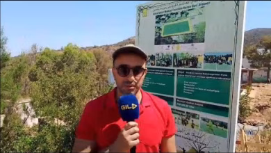 GIL24-TV ذ. أنيس مومن دور المؤتمر في اكتشاف المنطقة ودعم أهداف الجمعية القروية للدار العائلية بني سناسن缩略图