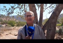 GIL24-TV يسى عبد الواحد عرض فني: إبراز الجمالية الطبيعية للمنطقة من خلال اللوحات التشكيلية缩略图