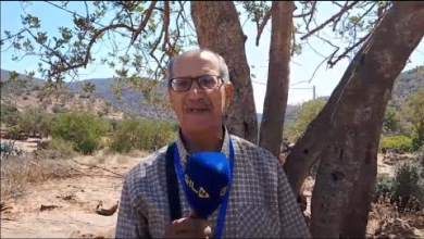 GIL24-TV يسى عبد الواحد عرض فني: إبراز الجمالية الطبيعية للمنطقة من خلال اللوحات التشكيلية缩略图