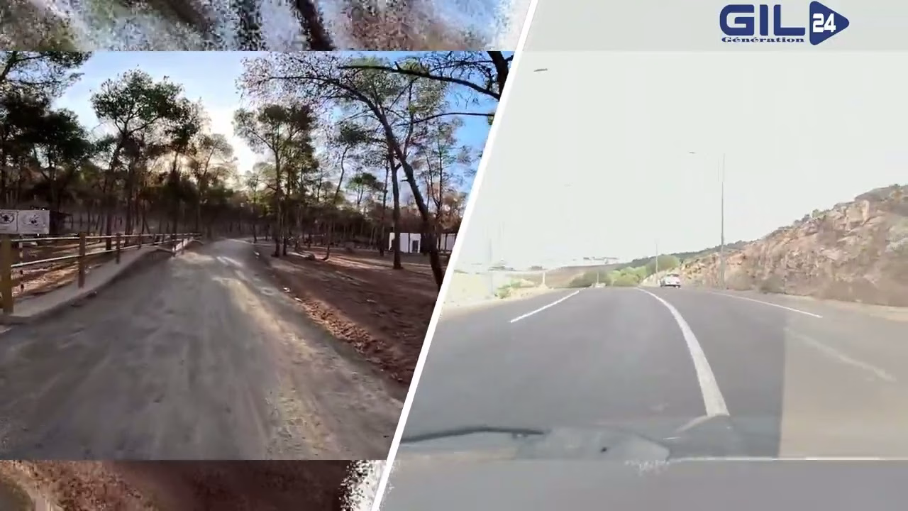 GIL24-TV حوار بيئي: تهيئة غابة سيدي معافة في وجدة بين الطموح والتحديات缩略图