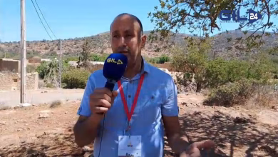 GIL24-TV الأستاذ عبد الحق الشرقي النباتات السامة وضرورة الوعي بالمخاطر الصحية缩略图