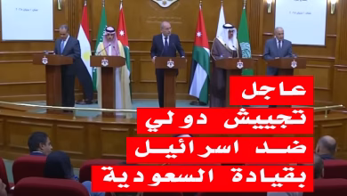 رد عربي وإسلامي موحد: مواجهة التطرف الإسرائيلي بحلول سياسية وإنسانية缩略图 رد عربي وإسلامي موحد: مواجهة التطرف الإسرائيلي بحلول سياسية وإنسانية缩略图