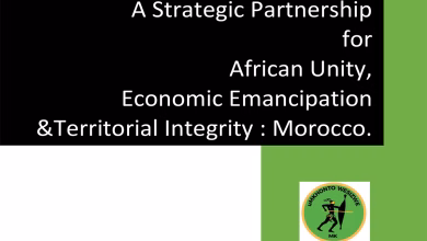 الشراكة الاستراتيجية بين جنوب إفريقيا والمغرب: رؤية لوحدة إفريقية وتحرر اقتصادي缩略图