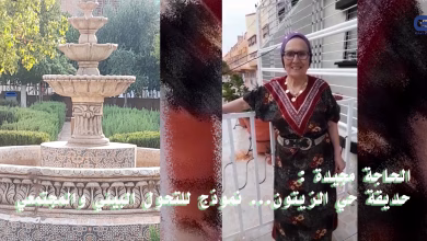 الحاجة مجيدة : حديقة حي الزيتون… نموذج للتحول البيئي والمجتمعي缩略图