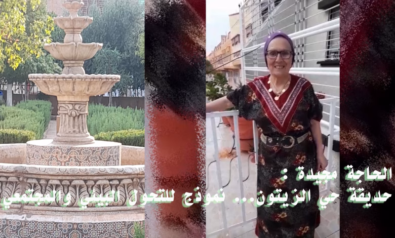 الحاجة مجيدة : حديقة حي الزيتون… نموذج للتحول البيئي والمجتمعي缩略图